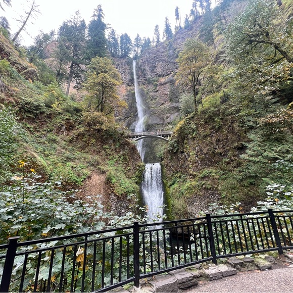 Meet your Posher, Edson - Picture 11 of 12